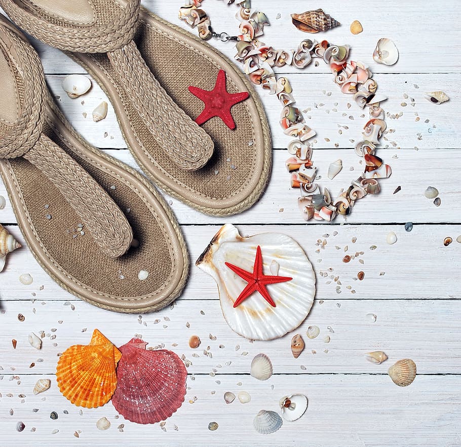 pair of brown knitted sandals with assorted-color-and-shape seashells, HD wallpaper