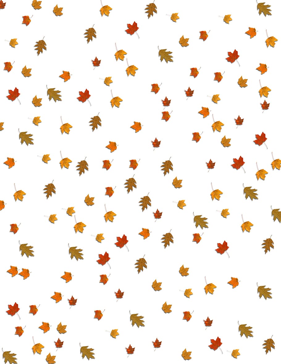 leaves, fall, falling, background, fall leaves background, season HD wallpaper
