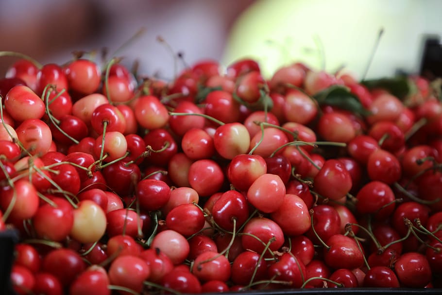 Cherry, Fruit, fruits, red, food and drink, freshness, healthy eating HD wallpaper