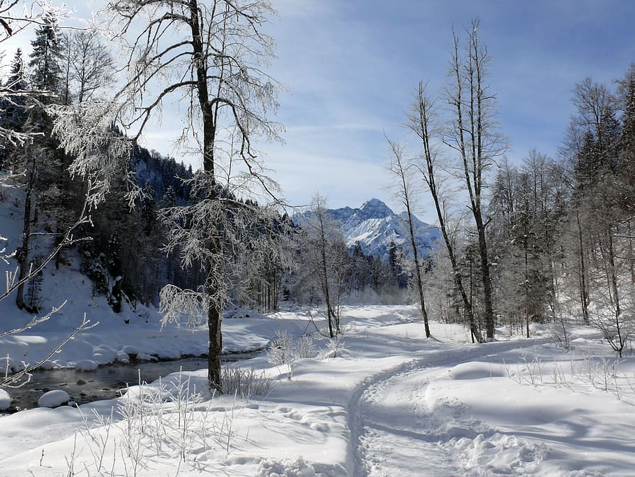 Ice, Winter, Frozen, eiskristalle, crystals, snow, cold, hardest HD wallpaper