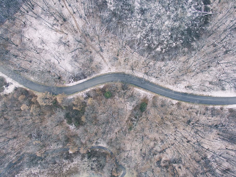 aerial photography of trees and road, aerial photography of asphalt road surrounded by bare trees HD wallpaper