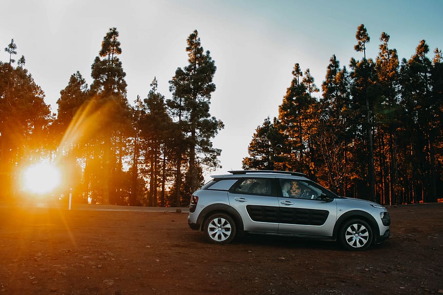 grey and blakc SUV across trees, silver Citroen SUV parked near trees HD wallpaper