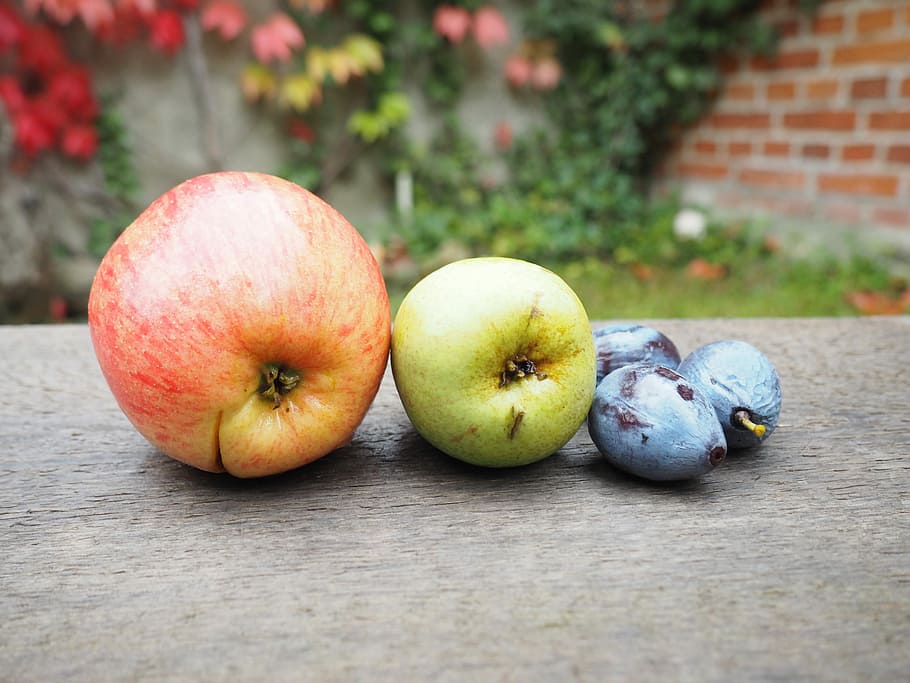 Apple, Pear, Plums, Fruit, fruits, still life, delicious, healthy HD wallpaper