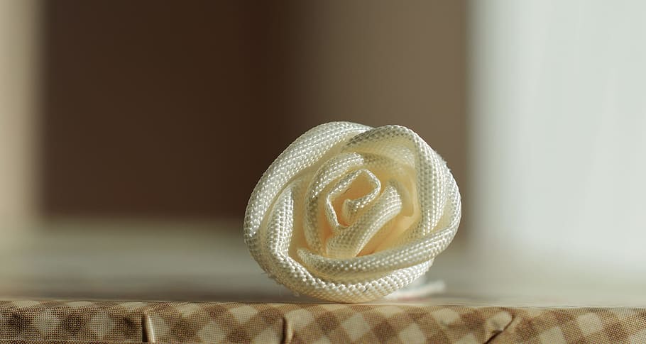 wedding, larissa, white, gently, little flower, indoors, no people HD wallpaper