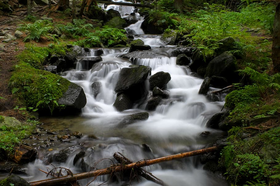 timelapse photography of water falls, bach, river, long exposure HD wallpaper