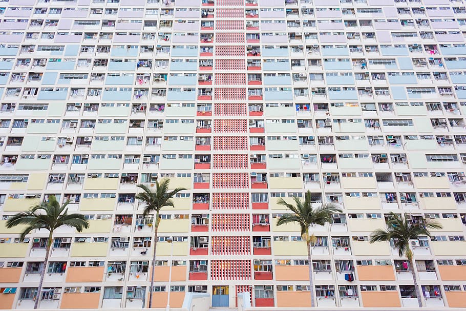 low angle view of colorful building, coconut trees in front high rise building HD wallpaper