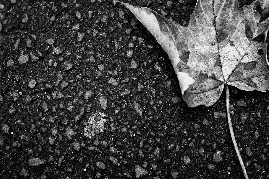 sheet, road, ground, travel, path, long way, distance, hobby HD wallpaper