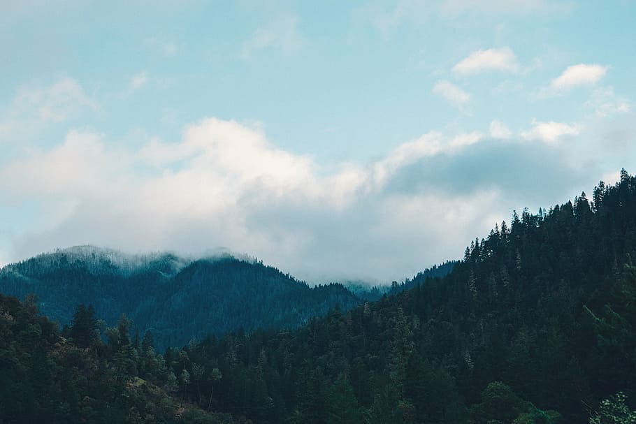 mountain with trees under white sky, green, leaf, mountains HD wallpaper