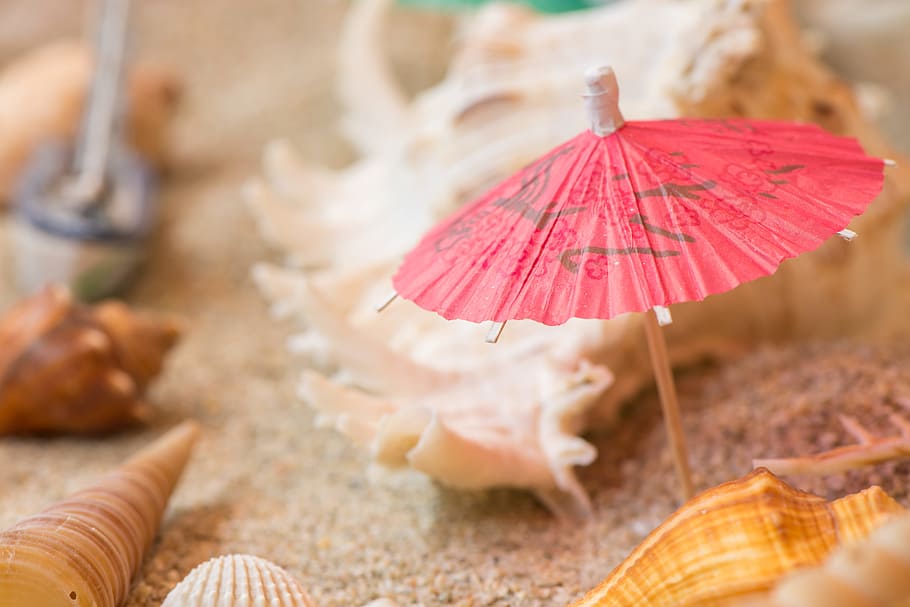 sand, decoration, shells, umbrella, conch, seashell, souvenir HD wallpaper