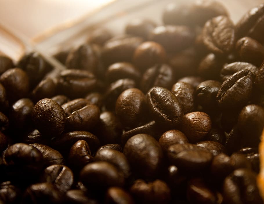 coffee beans, caffeine, drink, aroma, brown, espresso, roasted HD wallpaper