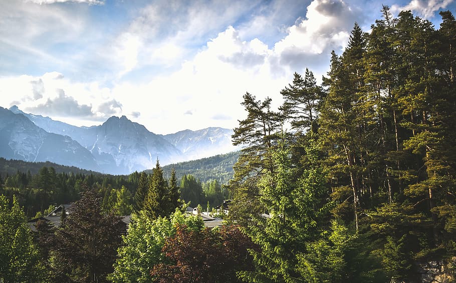 mountain range with trees, wilderness, view, daytime, clouds HD wallpaper