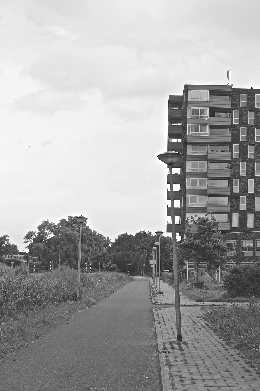 road, black white, environment, architecture, built structure HD wallpaper