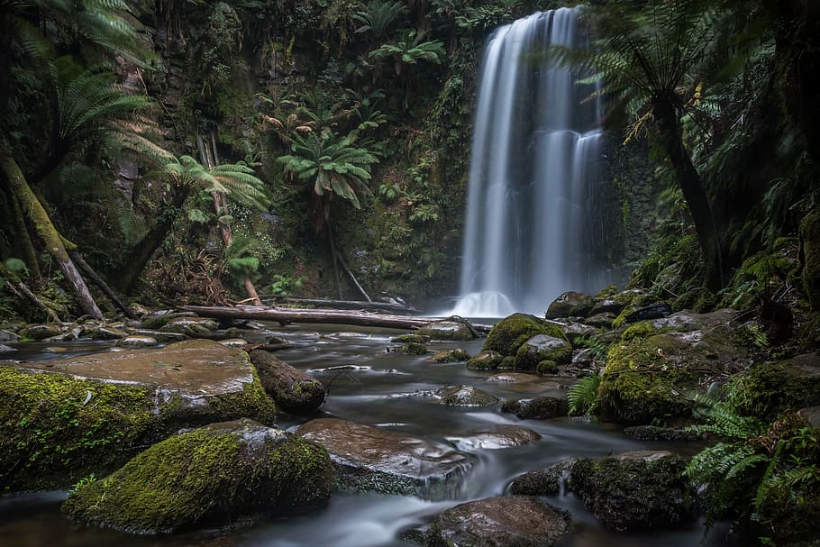 time lapse photography of waterfalls, forest, nature, stream HD wallpaper