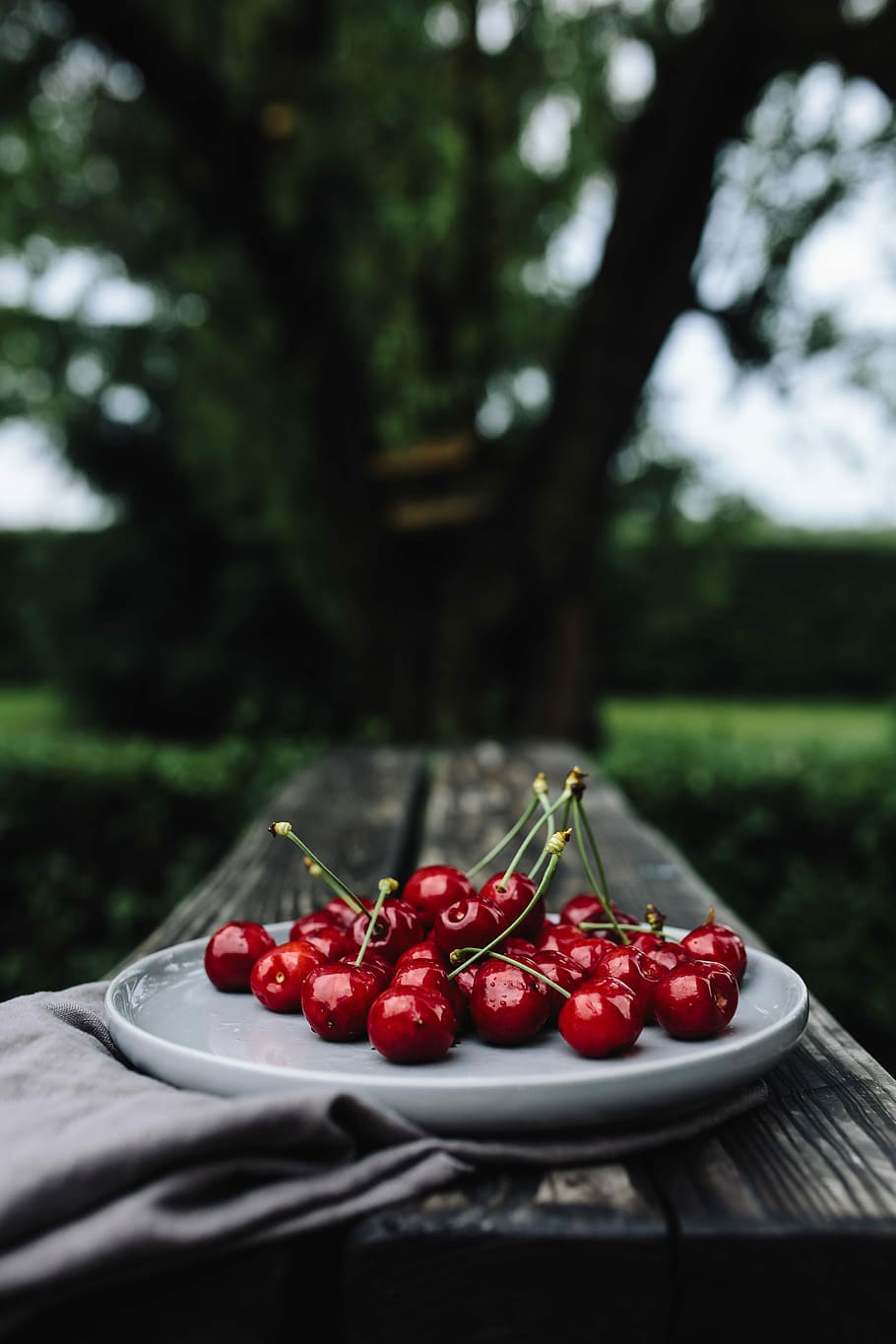 500 Cherries Pictures HD  Download Free Images on Unsplash