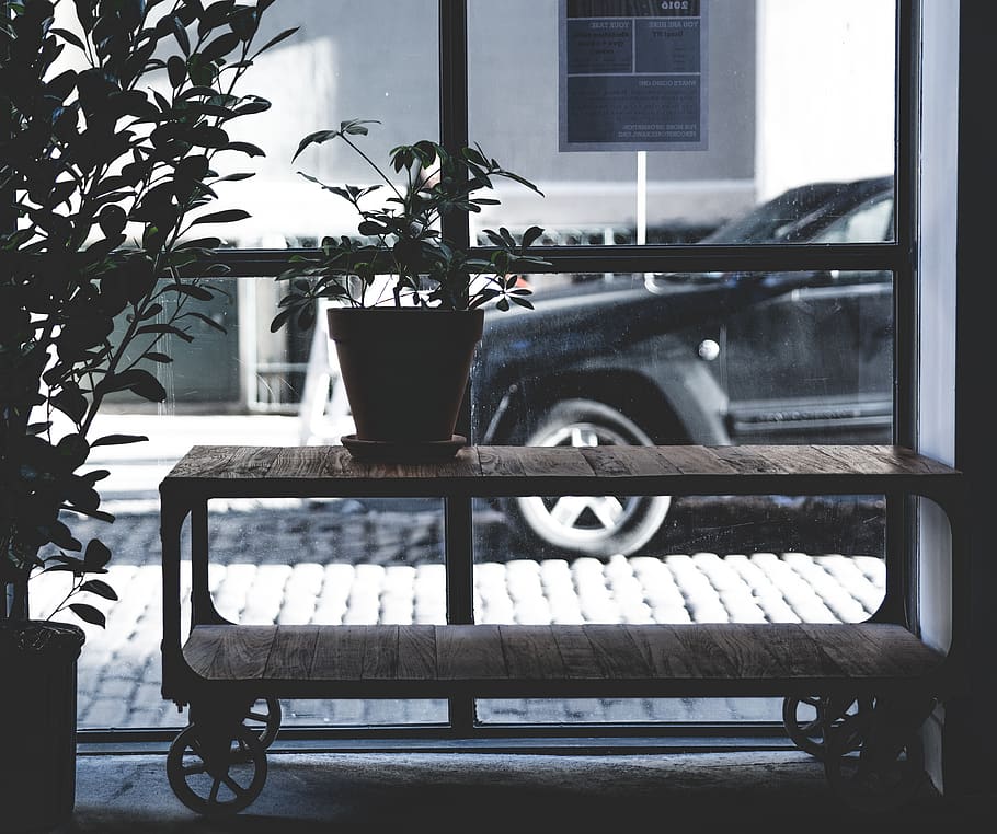 still, items, things, potted, plants, wheels, shelves, wood HD wallpaper