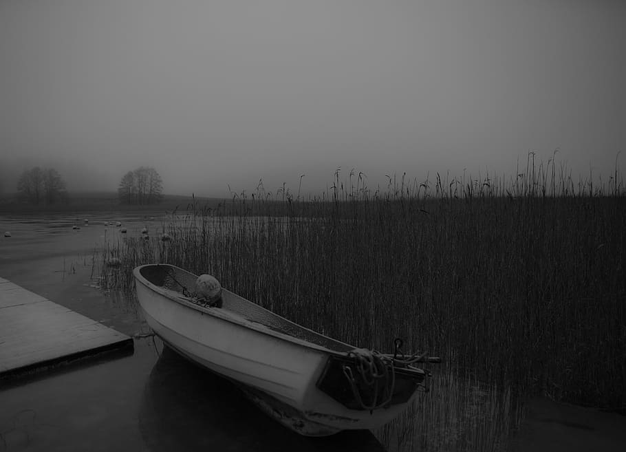white boat near dock during foggy daytime, sea, reed, echo HD wallpaper