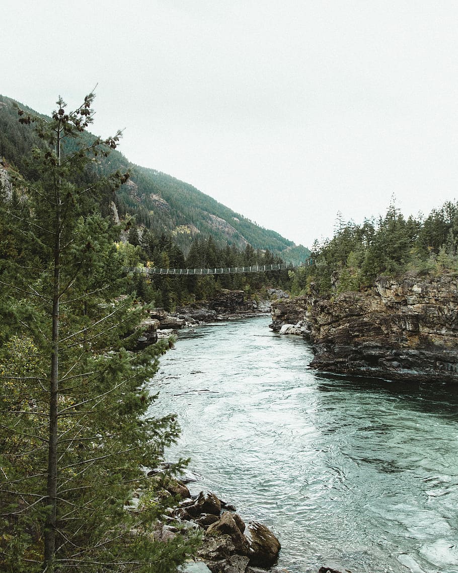 time lapse photography of river, hanging bridge surrounded by trees and river during daytime HD wallpaper