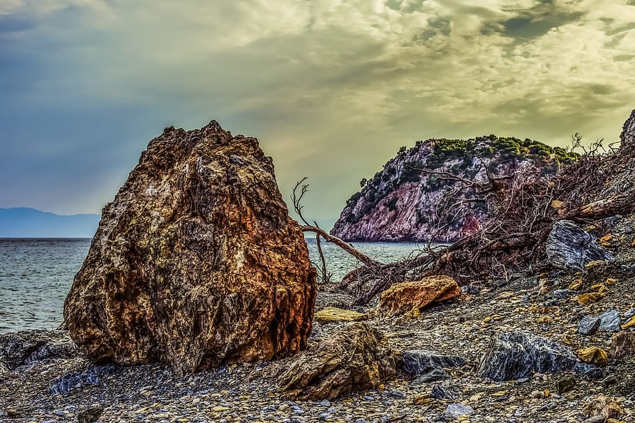 pebble beach, wild, rock, fallen tree, debris, nature, sea HD wallpaper