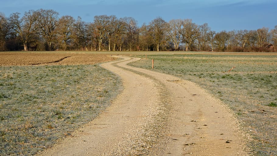 away, meadow, distant, nature, landscape, field, lane, morgenstimmung HD wallpaper