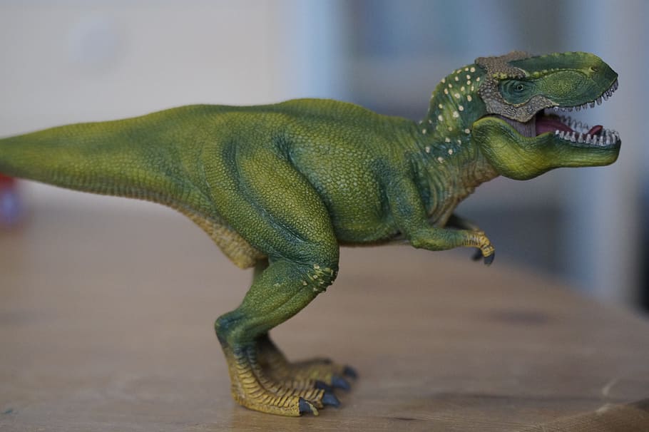 green dinosaur figurine on brown table, tyrannosaurus rex, replica, HD wallpaper