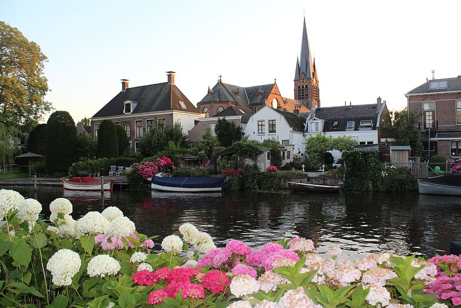 Flower, River, Pond, Summer, water, nautical Vessel, architecture HD wallpaper
