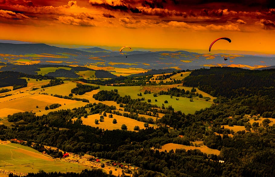paragliders gliding above trees, mountain, sky, cloud, field HD wallpaper