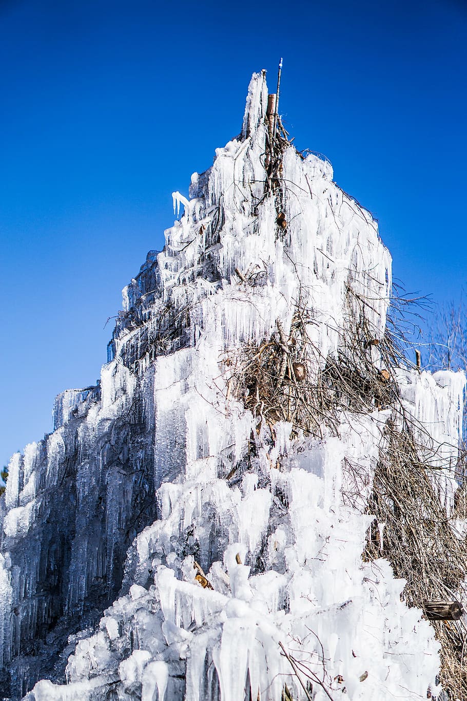 ice, sky, icicles, branch, blue sky, snow, cold temperature HD wallpaper
