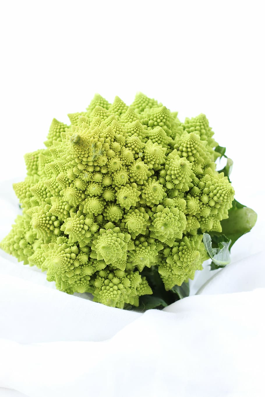 romanesco broccoli on white surface, plant, green, leaves, flower