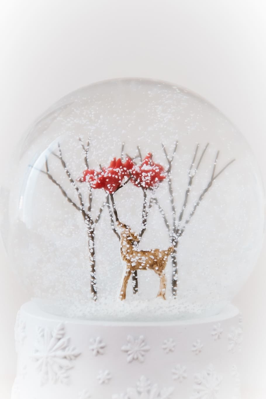 Snow globe, objects, christmas, winter, decoration, celebration HD wallpaper