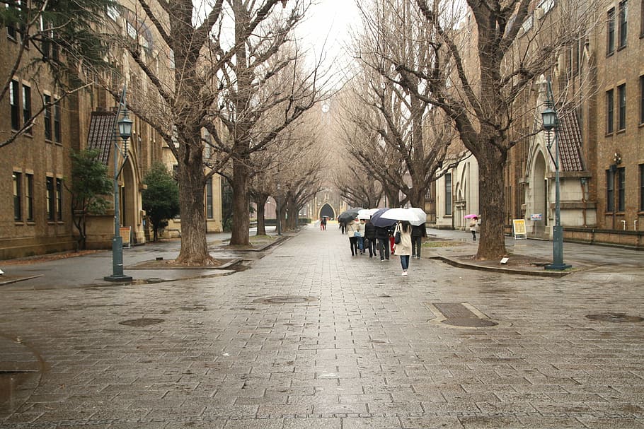 university of tokyo, history, japan, street, urban Scene, people