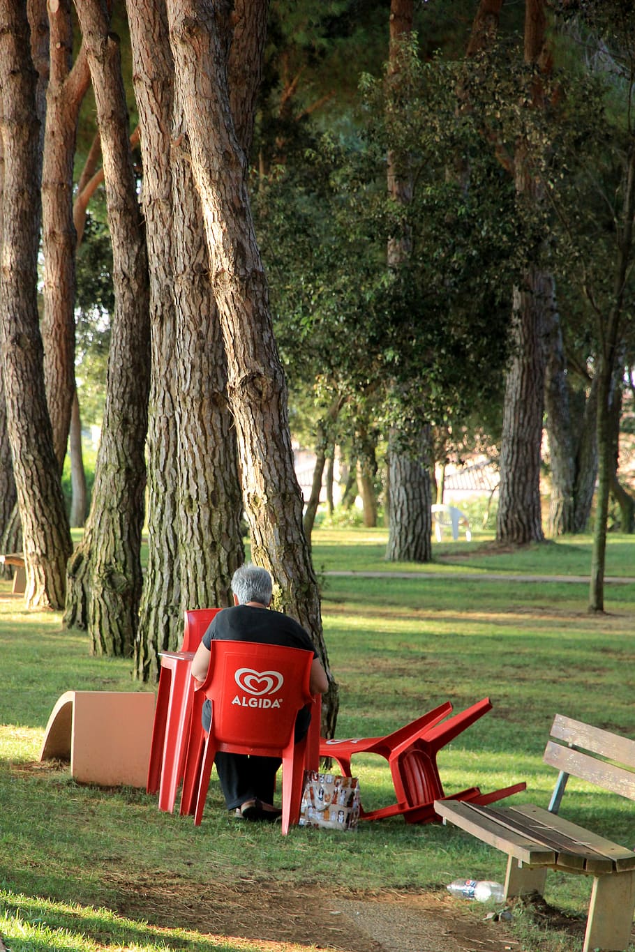 chair, red, plastic, sit, man, seat, still life, shadow, trees HD wallpaper
