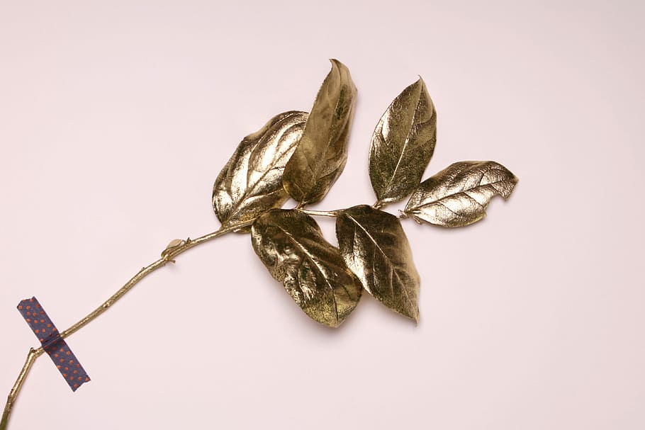 gold leaves, shallow focus of silver leaves, leaf, decor, branch HD wallpaper
