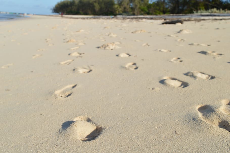 Footsteps, Sand, Beach, Shore, Print, person, sun, alone, coastline HD wallpaper