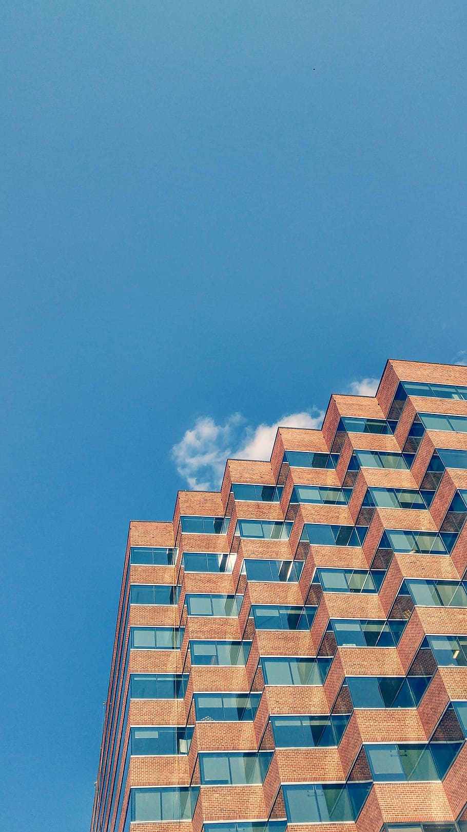 low angle photo of curtain wall high-rise building under bluesky background HD wallpaper