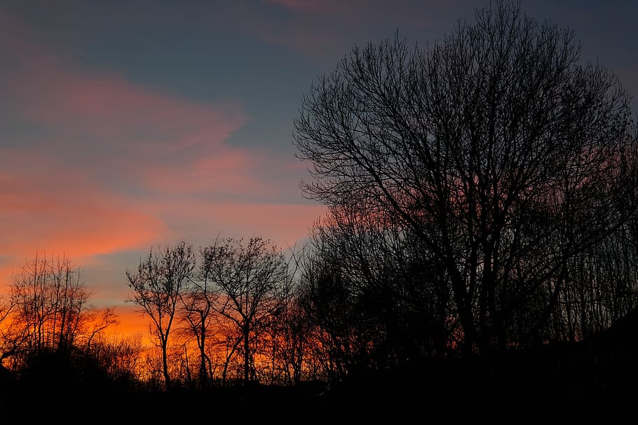 Evening, Sunset, Afterglow, evening sky, fiery, clouds, trees, HD wallpaper