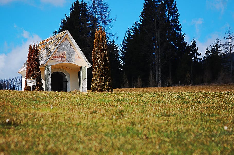 Meadow, Forest, Chapel, Building, Hut, religion, lovely, tiny HD wallpaper