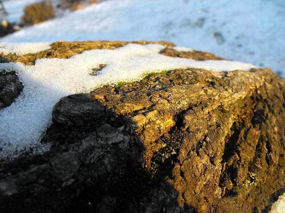 bark, tree, tribe, snow, solid, rock, rock - object, nature HD wallpaper