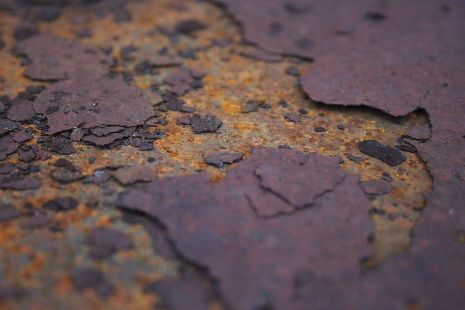 rust, garden, metal, old, vintage, gardening, steel, green, HD wallpaper