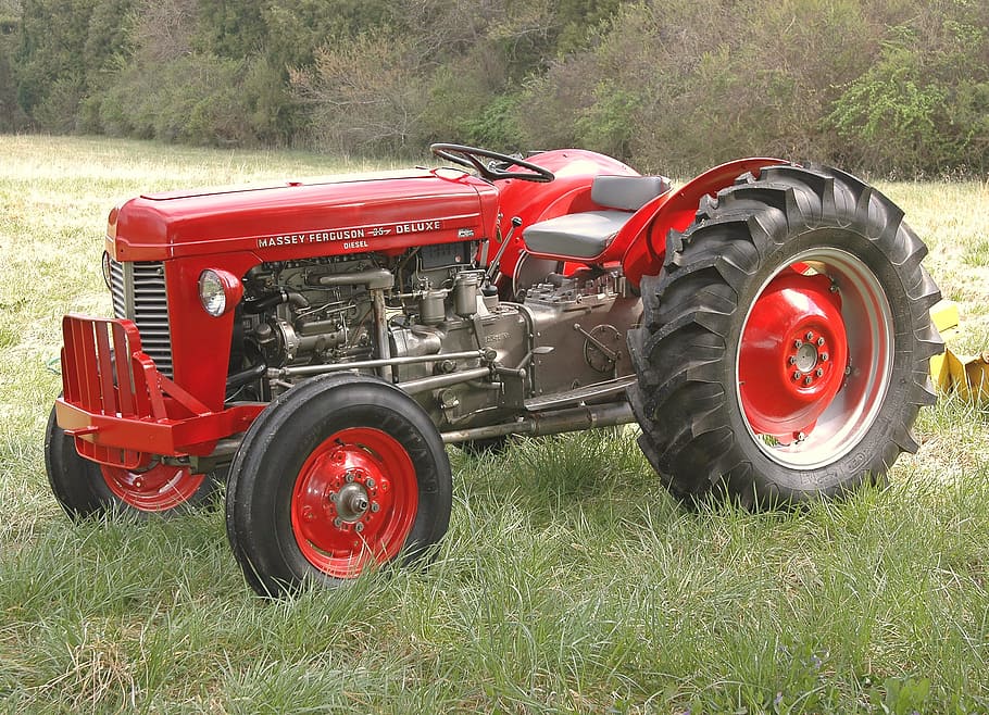 red tractor on green grass, Restored, Massey Ferguson, diesel, HD wallpaper