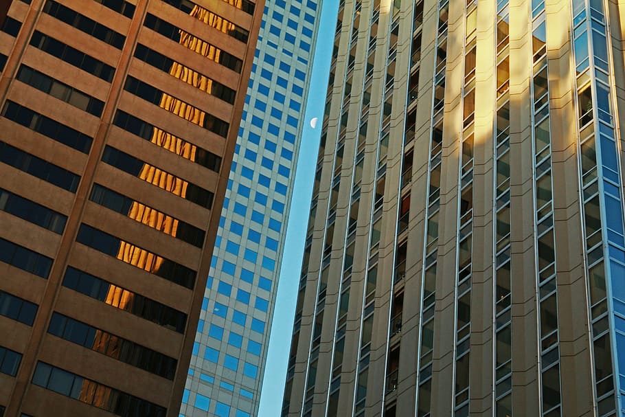cityscape, skyscraper, architecture, building exterior, built structure HD wallpaper