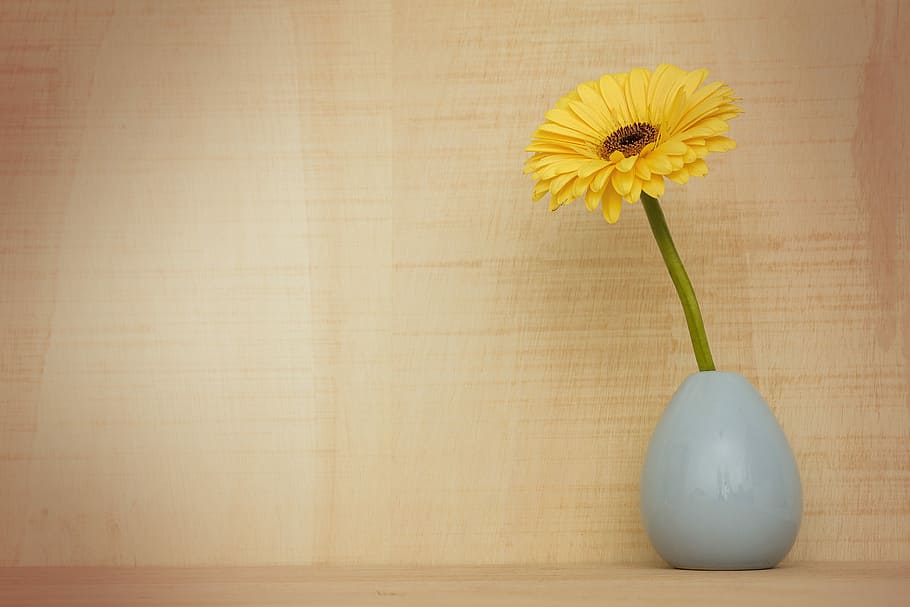 HD wallpaper: yellow sunflower in gray ceramic vase, gerbera flower