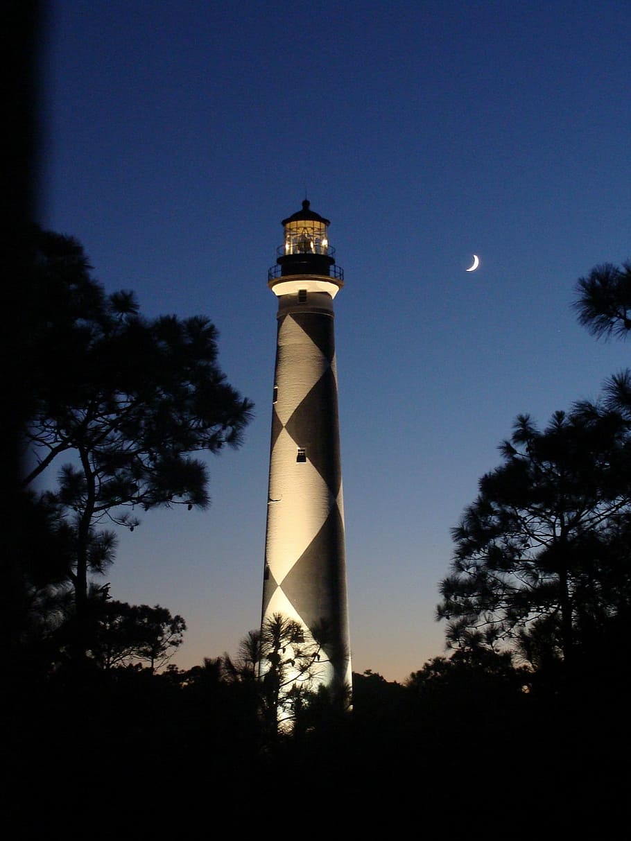 lighthouse, ocean, night, darkness, moon, sea, trees, reflection HD wallpaper