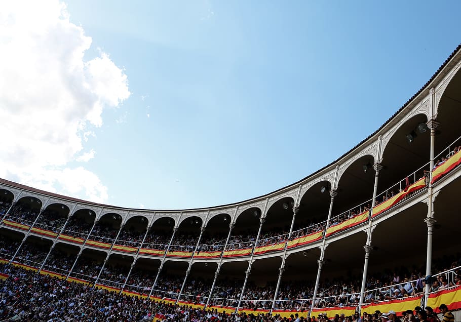 stadium, arena, crowd, people, spectators, blue, sky, clouds HD wallpaper