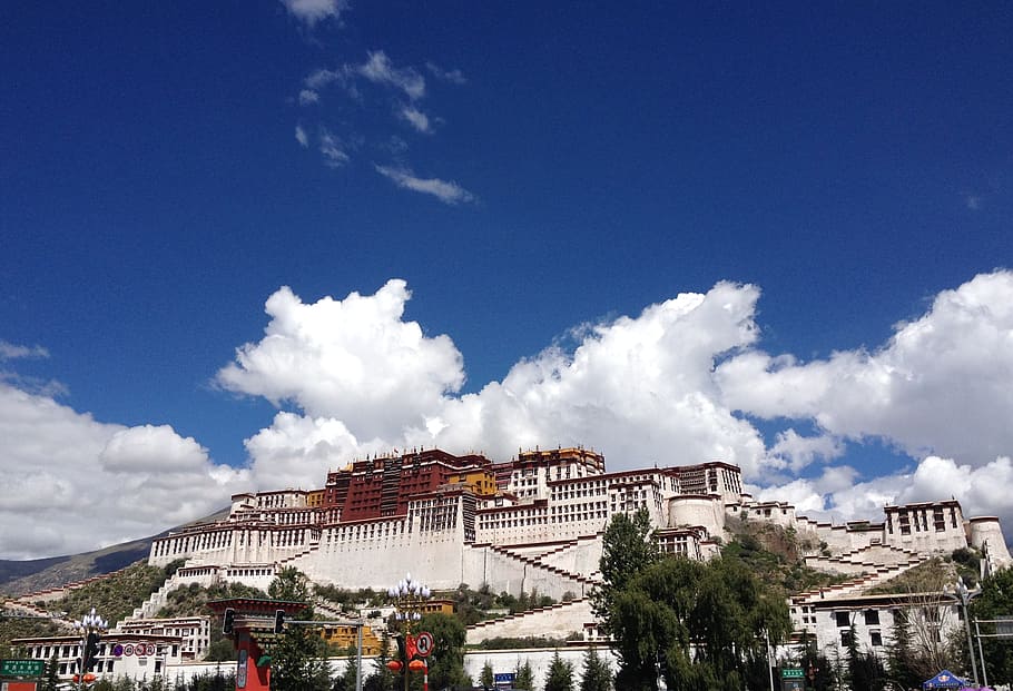 Potala Palace, Blue Sky, the potala palace, tibet, cloud - sky, HD wallpaper