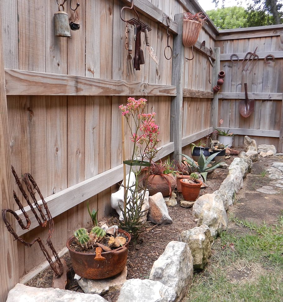 cactus, garden, rock, rural, design, fence, wooden, details, HD wallpaper