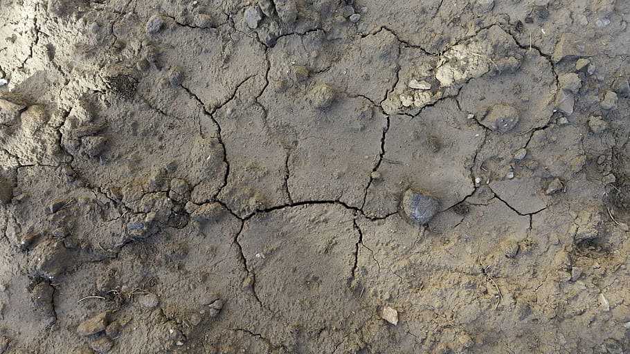Texture, Background, Soil, parched, cracks, drought, design HD wallpaper