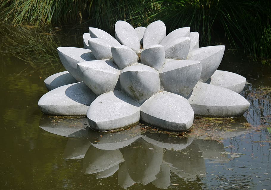 Water Lily, Stone, Sculpture, Mirroring, hell, art, pond, state garden show, HD wallpaper