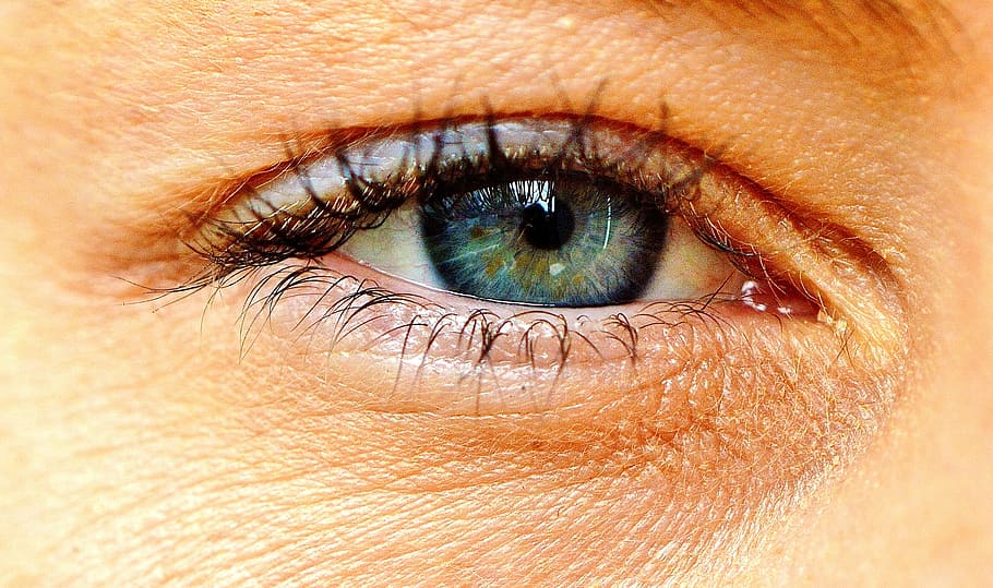 human eye, blue, grey, close, eyelashes, view, woman, iris HD wallpaper