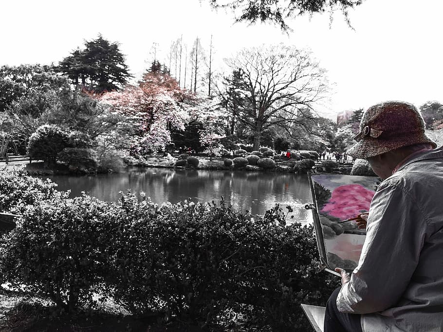 Tokyo, Spring, Cherry, Cherry, Blossom, Flower, outdoor, park HD wallpaper