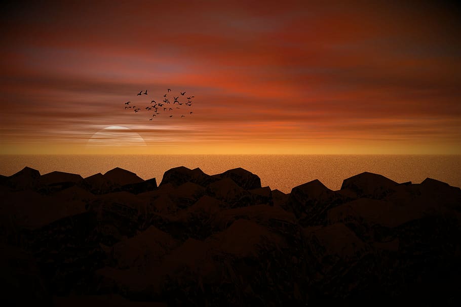 sun, sea, birds, romantic, abendstimmung, sun and sea, evening sky HD wallpaper